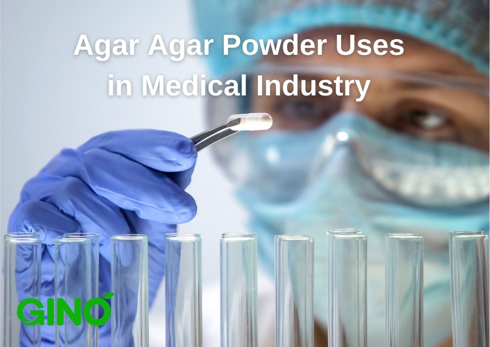 Agar Agar Powder Uses in Medical Industry