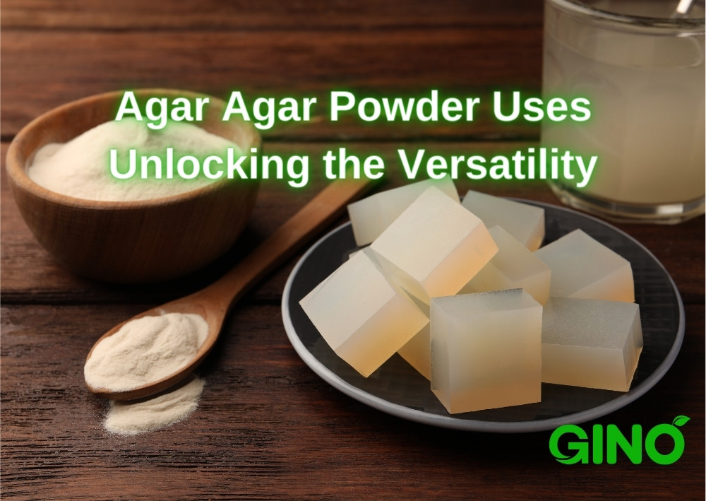 Agar Agar Powder Uses_ Unlocking the Versatility