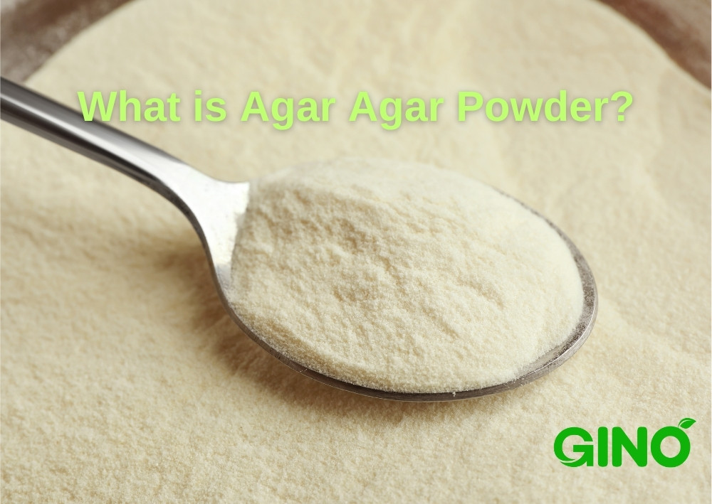 What is Agar Agar Powder