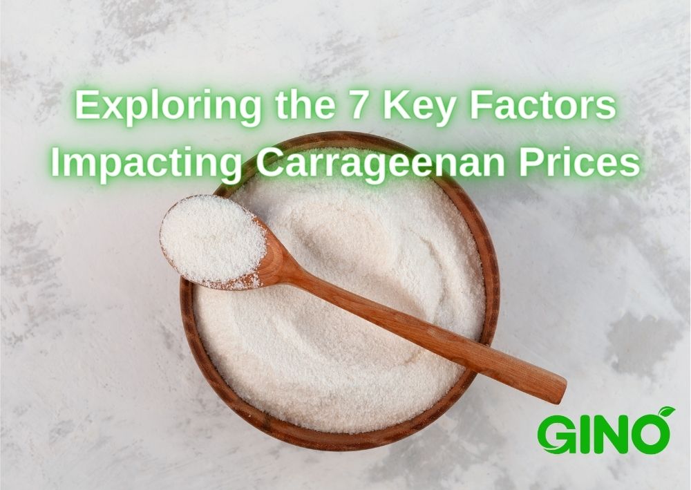 Exploring the 7 Key Factors Impacting Carrageenan Prices