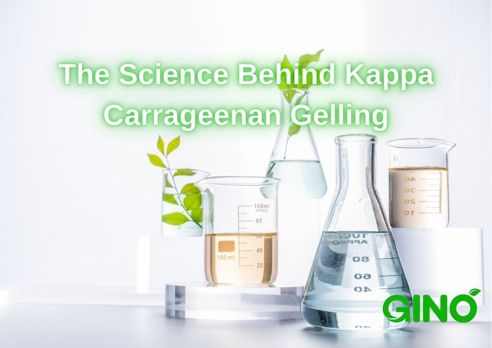 The Science Behind Kappa Carrageenan Gelling