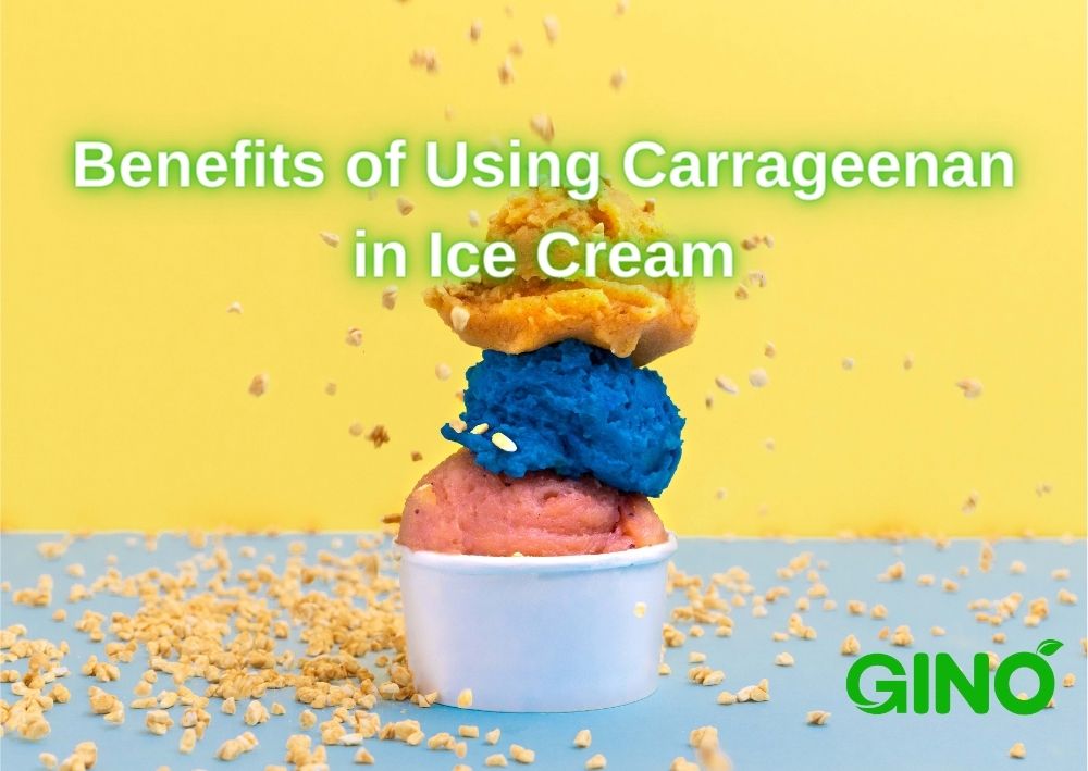 Benefits of Using Carrageenan in Ice Cream