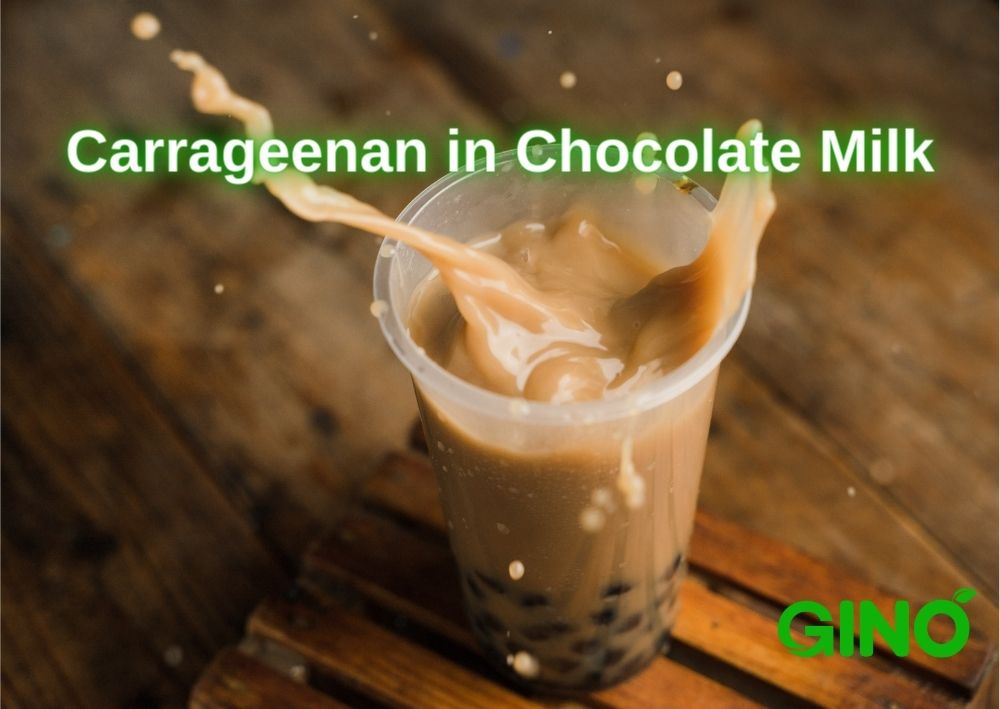 Discover how carrageenan in chocolate milk enhances texture, prevents separation, and stabilizes proteins. Learn why carrageenan is essential for high-quality chocolate milk products.
