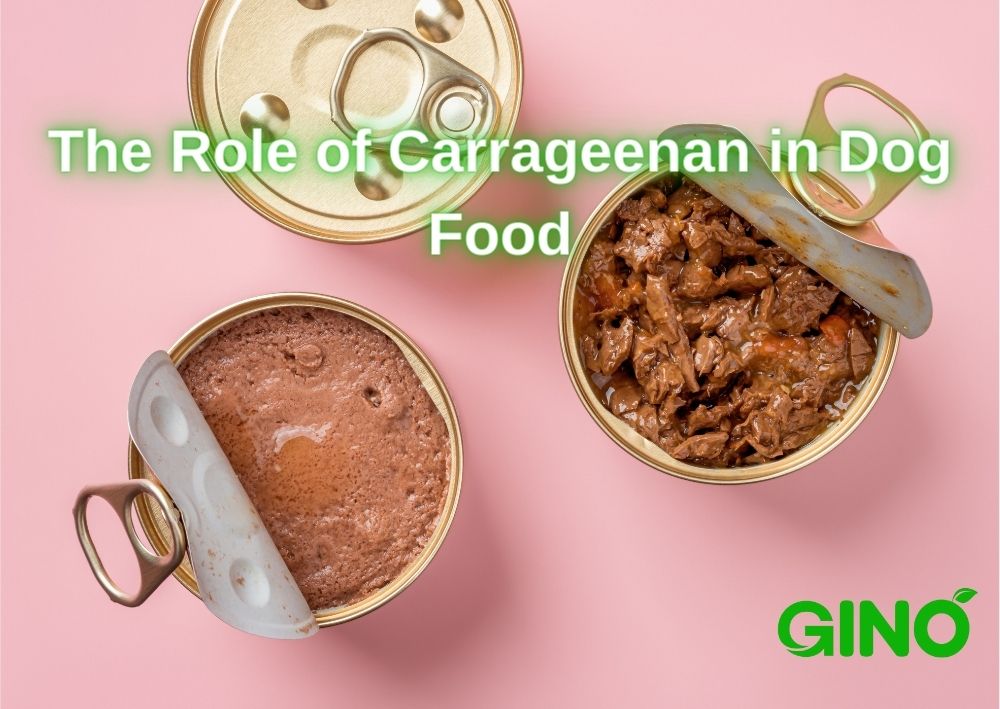 The Role of Carrageenan in Dog Food