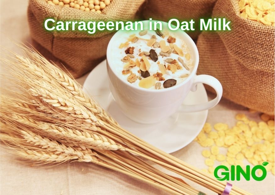 Discover how carrageenan in oat milk improves texture and stability while ensuring safety. Learn why carrageenan is essential for high-quality oat milk products.