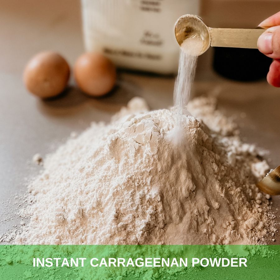 Instant Carrageenan Powder (3)