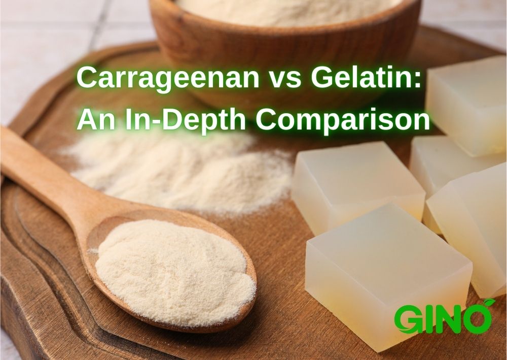 Carrageenan vs Gelatin_ An In-Depth Comparison