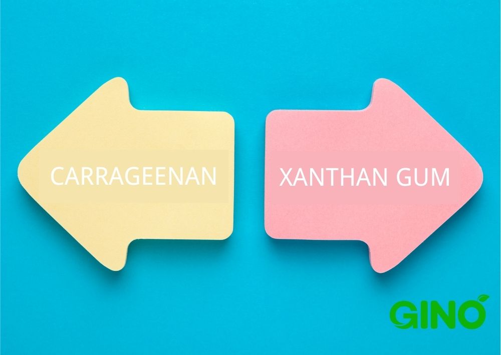 Carrageenan vs Xanthan Gum_ Which One Is Right for Your Product (2)