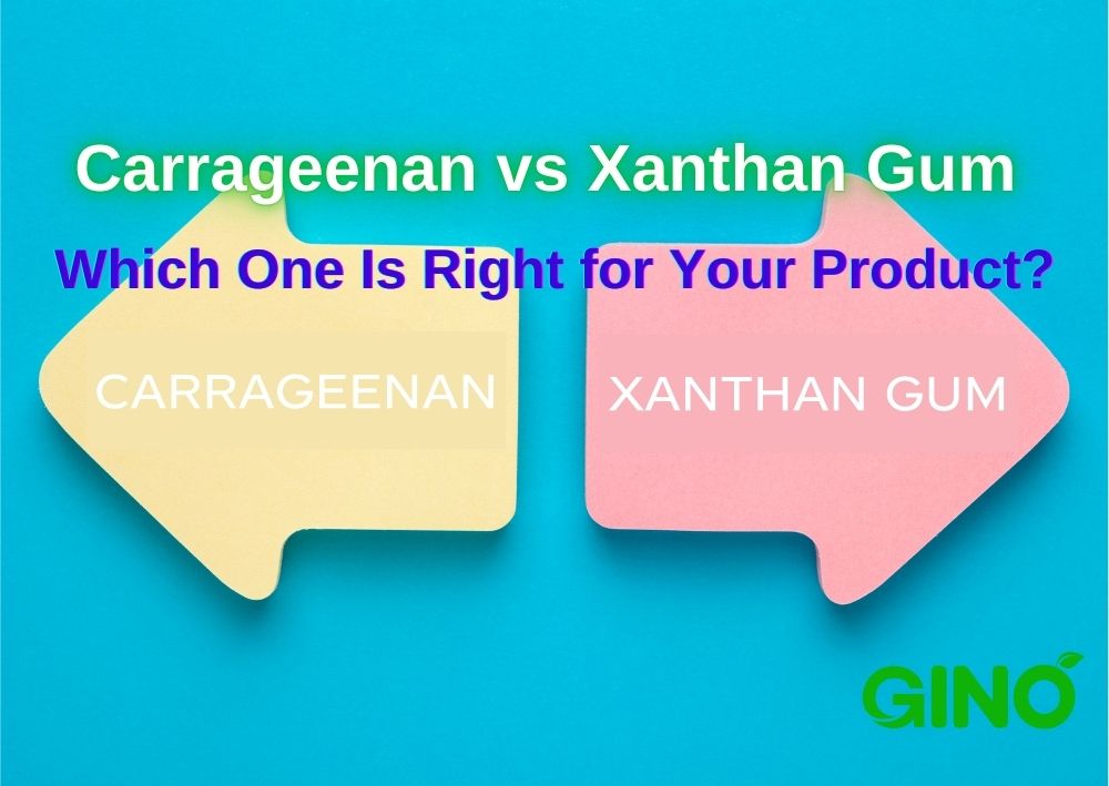 Carrageenan vs Xanthan Gum_ Which One Is Right for Your Product