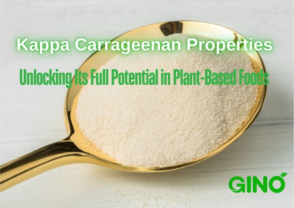 Kappa Carrageenan Properties_ Unlocking Its Full Potential in Plant-Based Foods