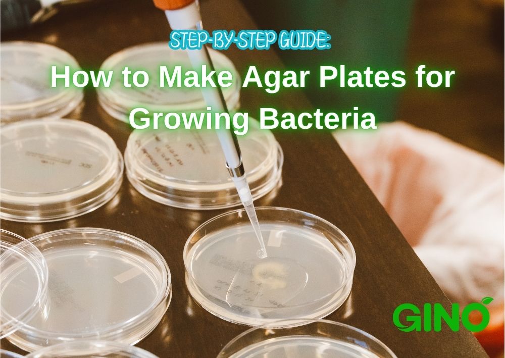 Step-by-Step Guide_ How to Make Agar Plates for Growing Bacteria (2)