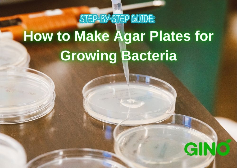 Step-by-Step Guide_ How to Make Agar Plates for Growing Bacteria