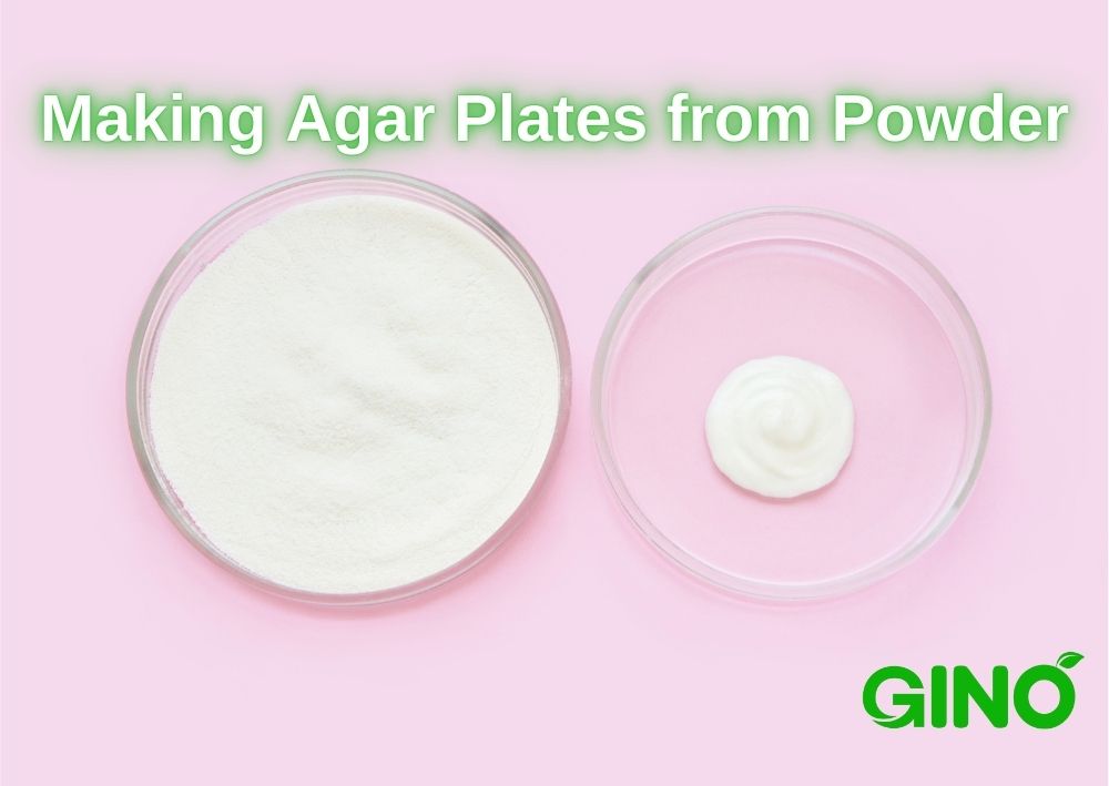 making agar plates from powder