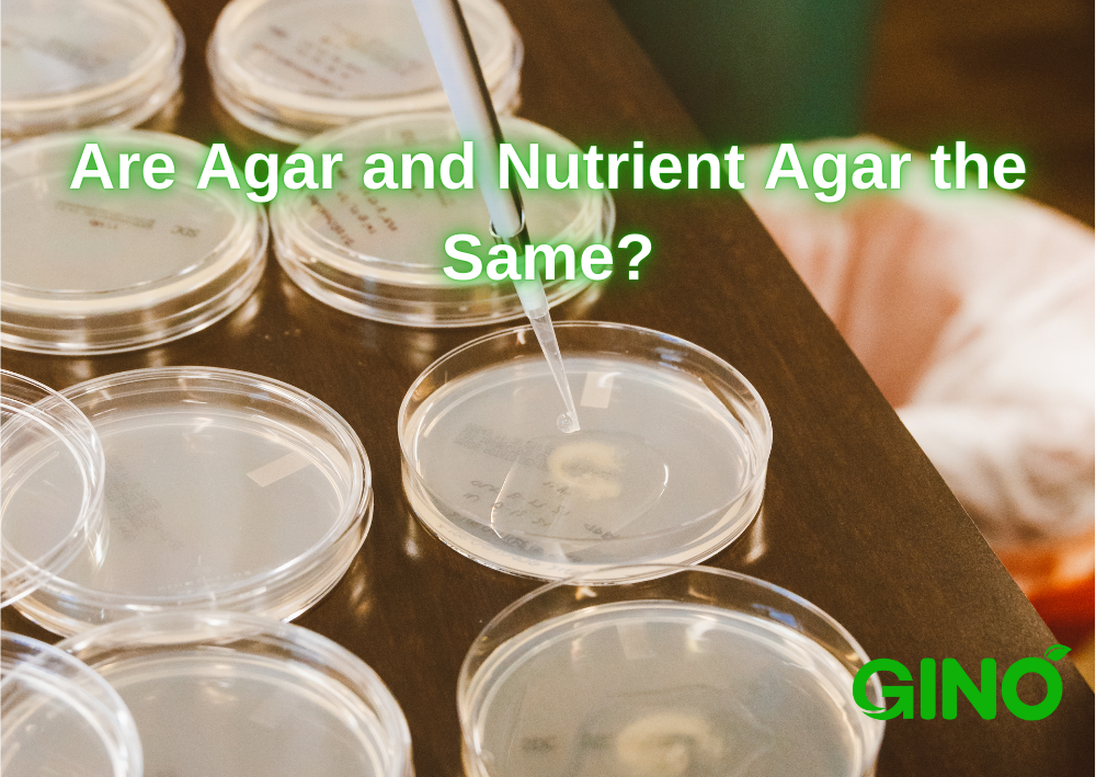 Are Agar and Nutrient Agar the Same