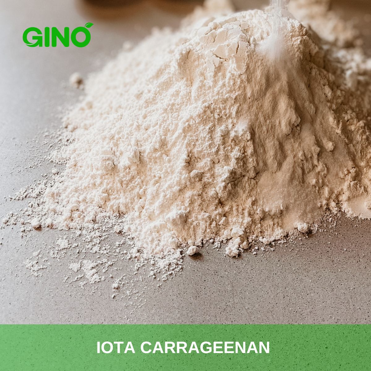 Iota Carrageenan Powder_Gino (2)