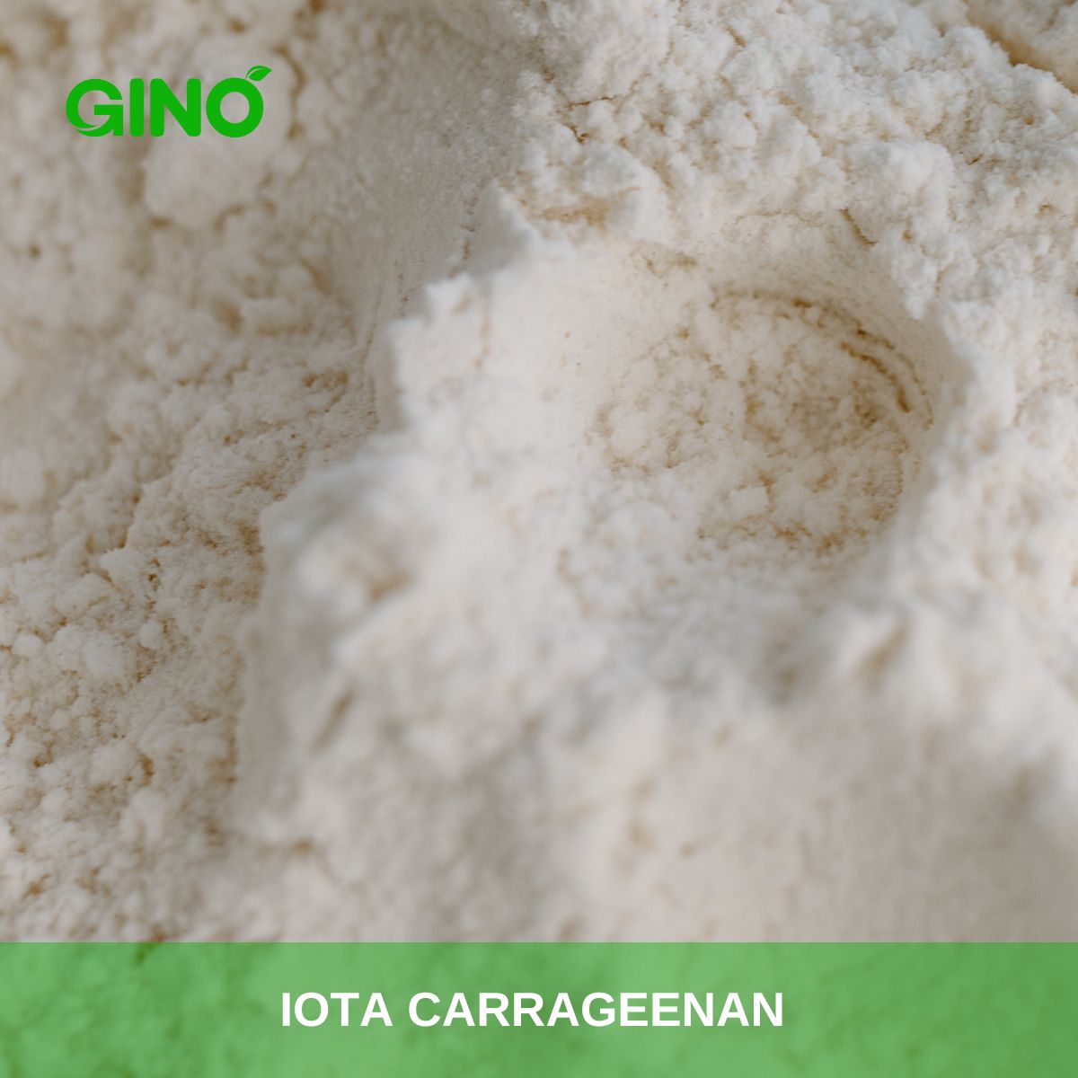 Iota Carrageenan Powder_Gino