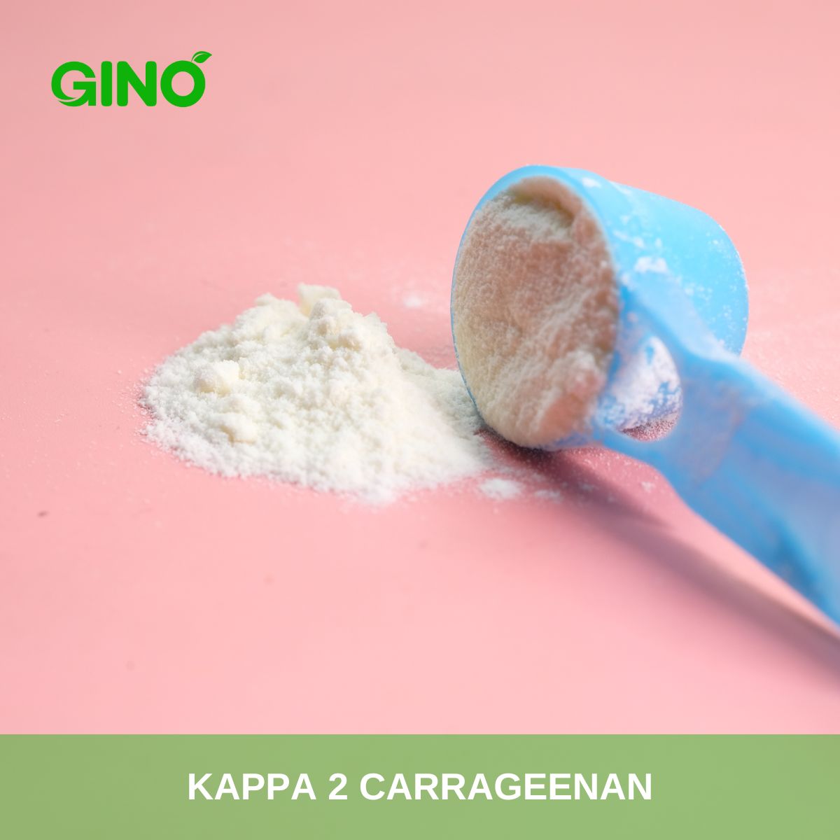 Kappa 2 Carrageenan_Gino Biotech