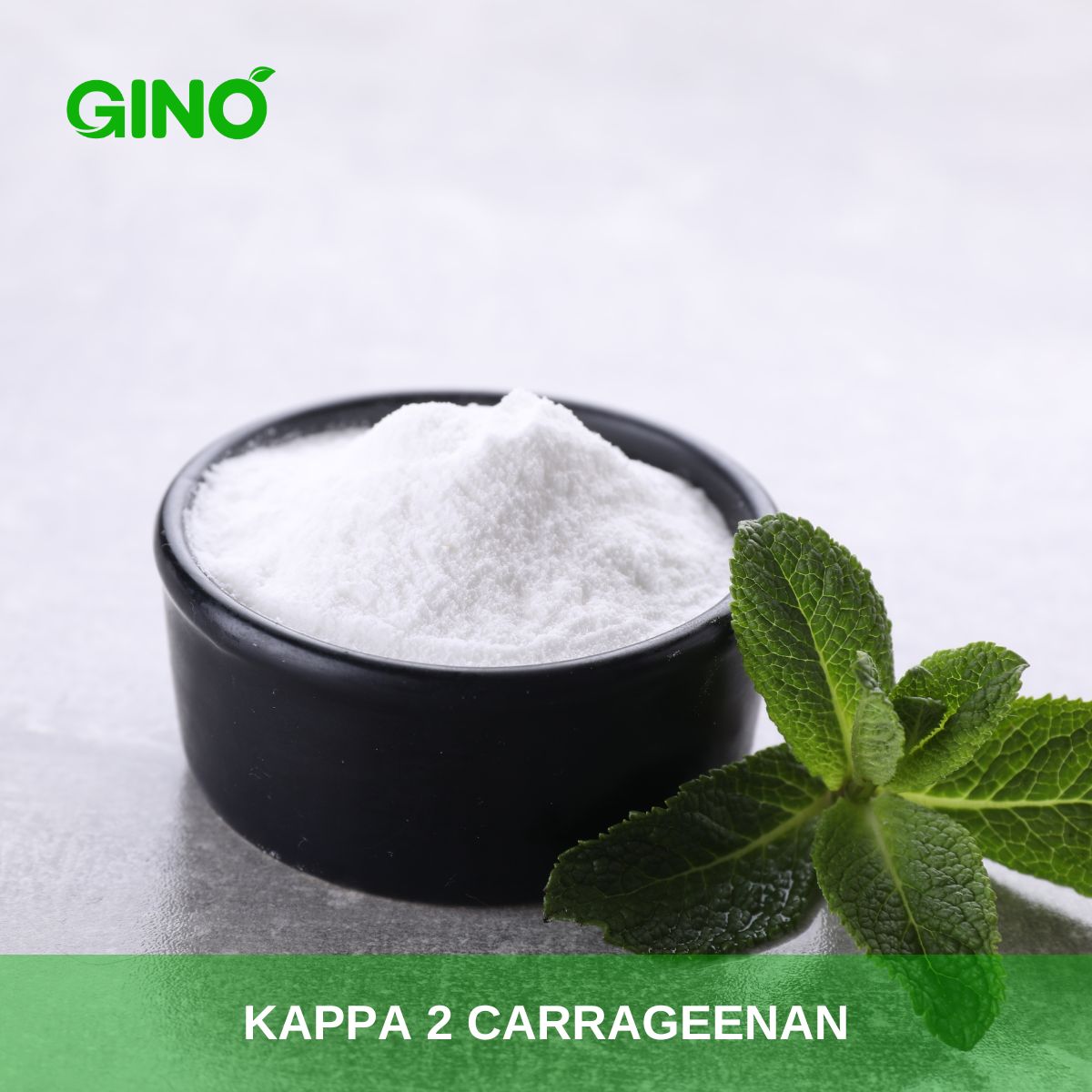 Kappa 2 Carrageenan_Gino Biotech (3)