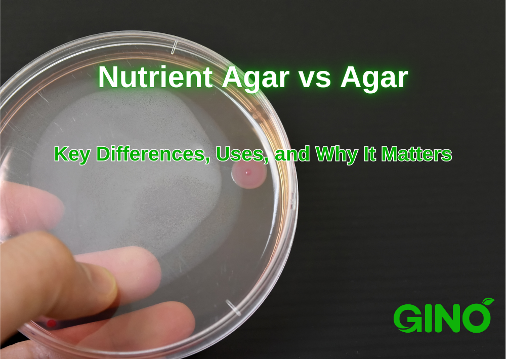 Nutrient Agar vs Agar_ Key Differences, Uses, and Why It Matters