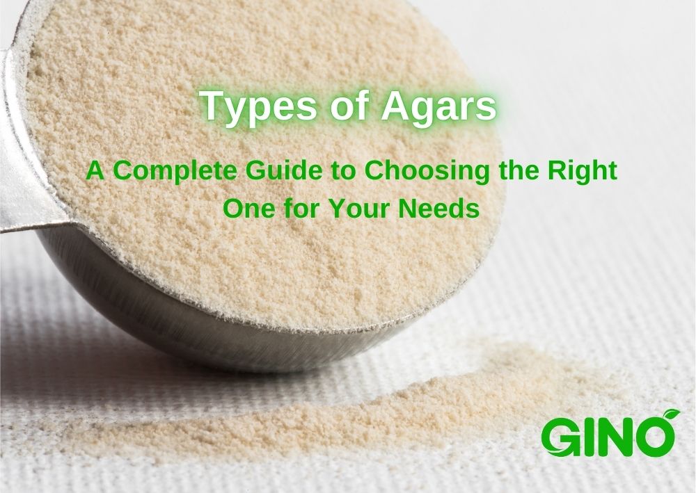 Types of Agars_ A Complete Guide to Choosing the Right One for Your Needs