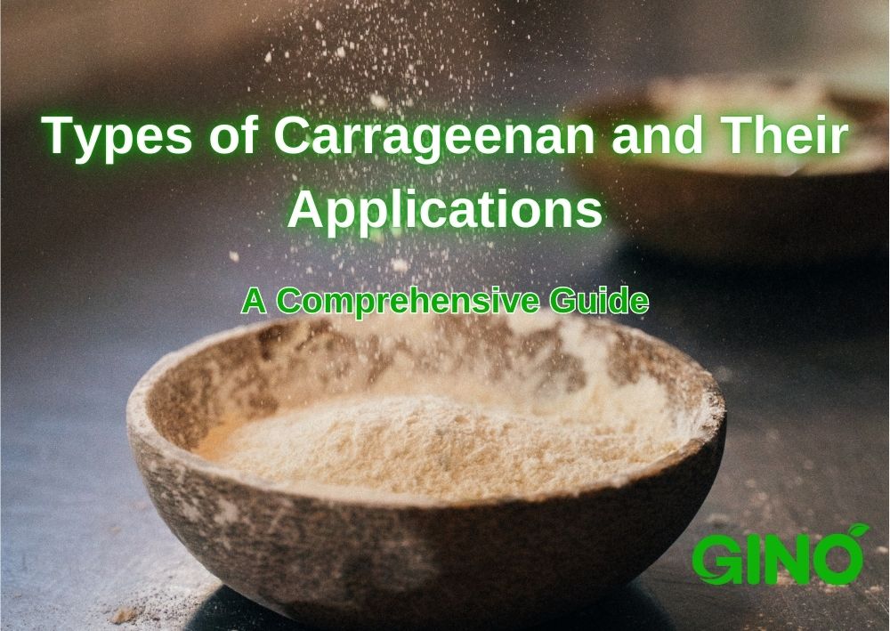 Types of Carrageenan and Their Applications_ A Comprehensive Guide