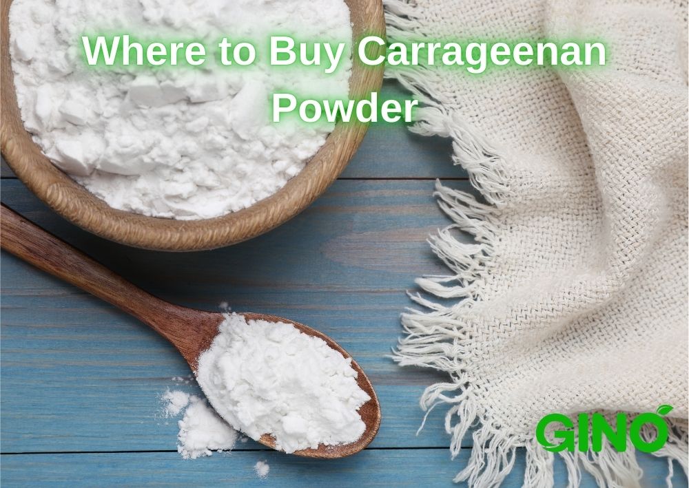 Where to Buy Carrageenan Powder_ Finding the Best Suppliers (2)