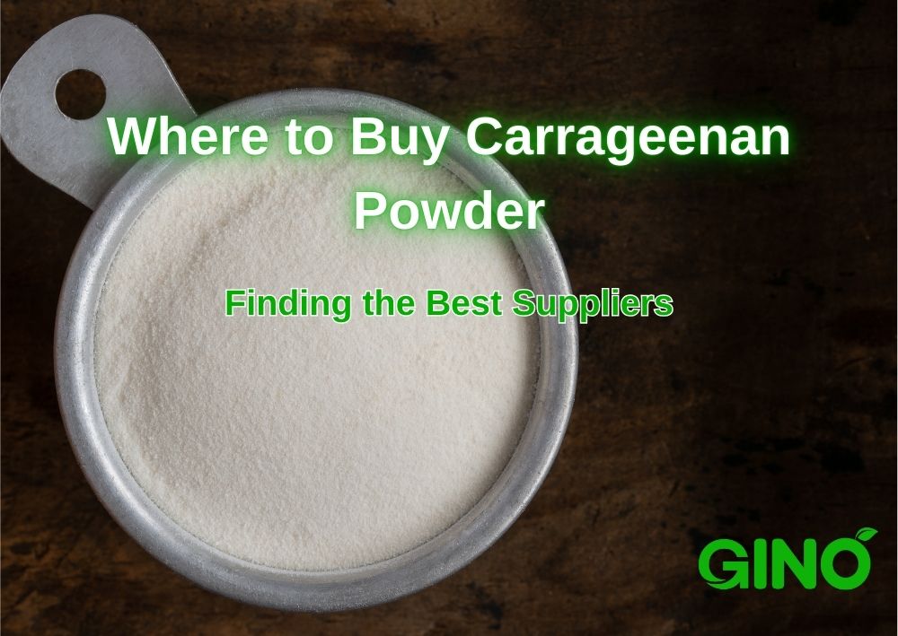 Where to Buy Carrageenan Powder_ Finding the Best Suppliers