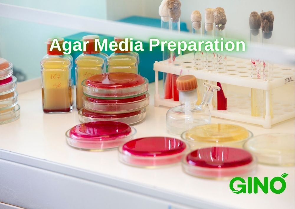 Agar Media Preparation