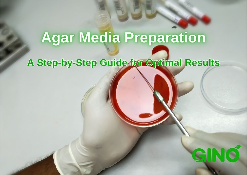 Agar Media Preparation_ A Step-by-Step Guide for Optimal Results