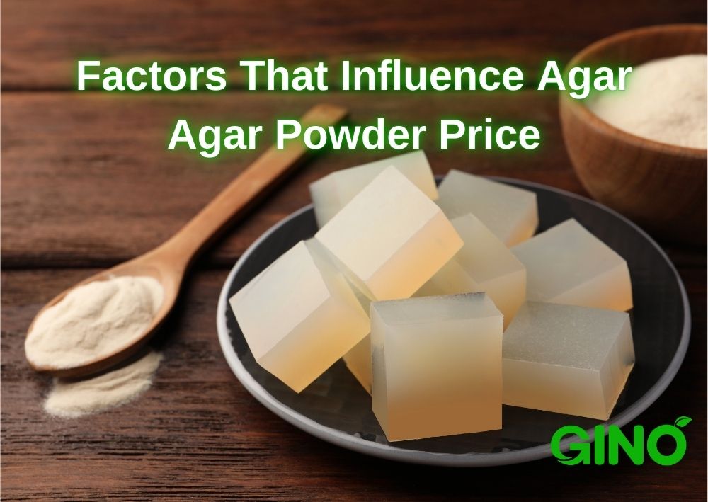 Factors That Influence Agar Agar Powder Price_ What You Need to Know (2)