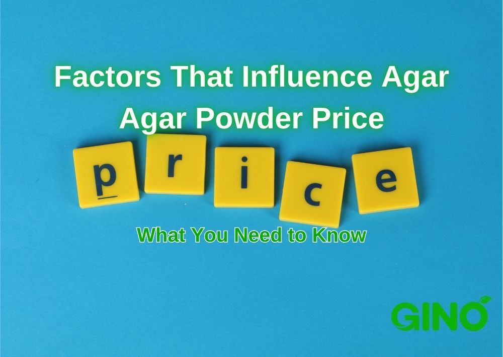 Factors That Influence Agar Agar Powder Price_ What You Need to Know