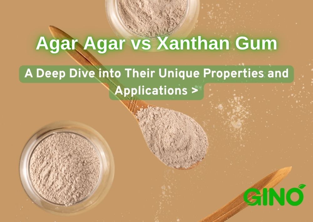 Agar Agar vs Xanthan Gum A Deep Dive into Their Unique Properties and Applications (2)