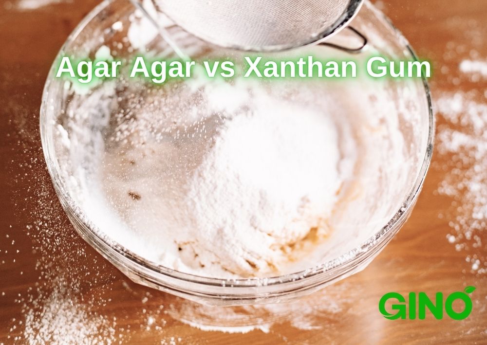 Agar Agar vs Xanthan Gum