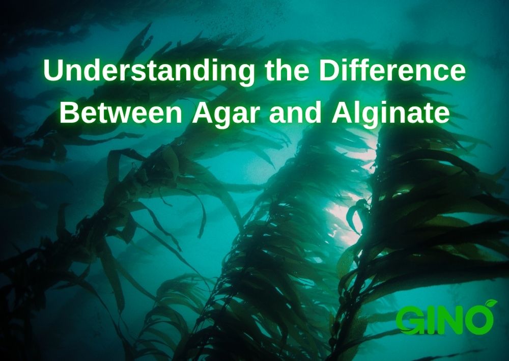 Diferencias entre el agar y el alginato (2)
