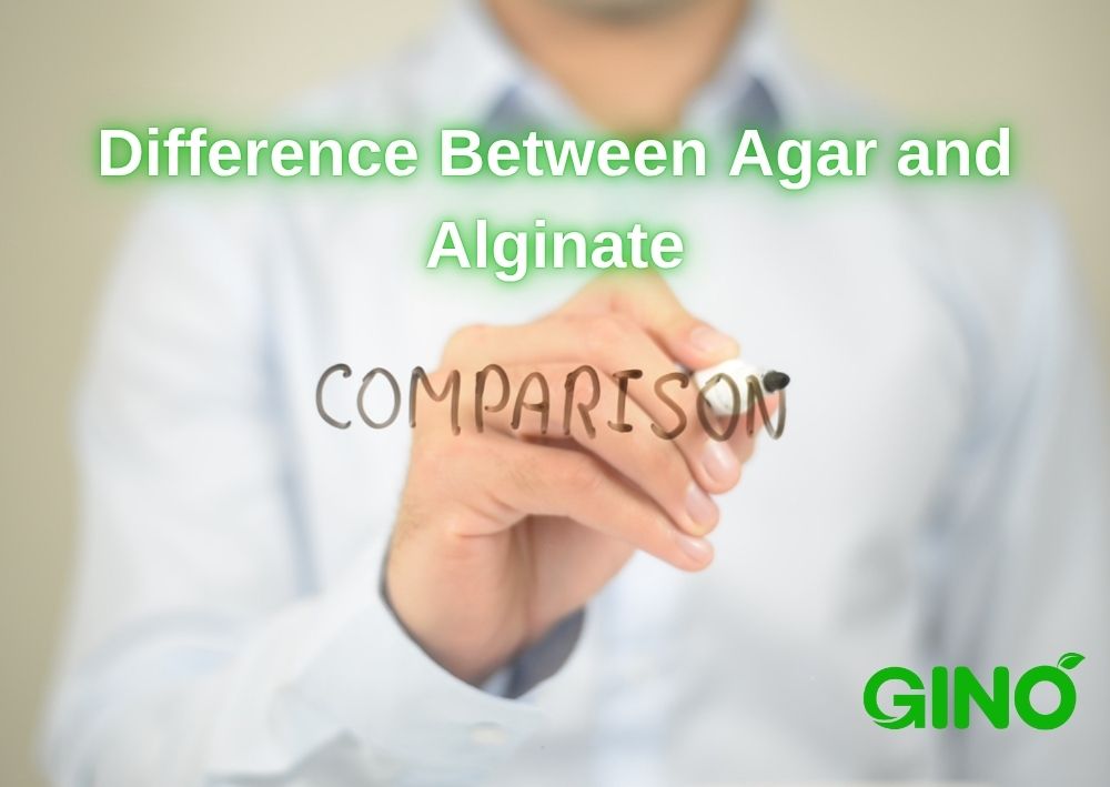 Diferencias entre el agar y el alginato (3)