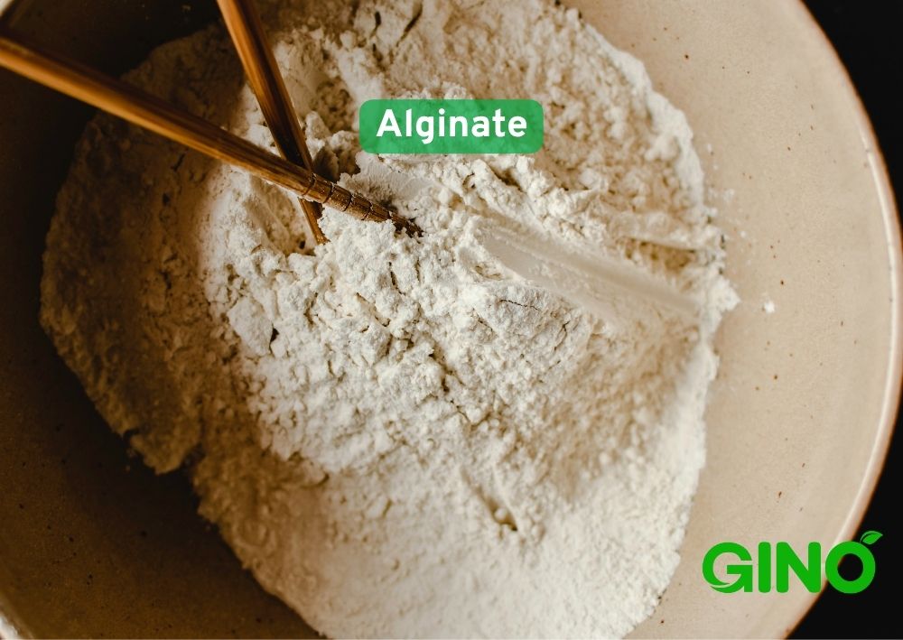 Diferencias entre el agar y el alginato (5)