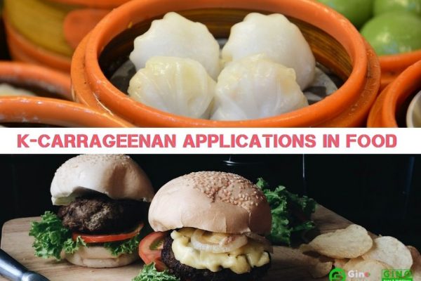 κ-Carrageenan Applications in Food (2)
