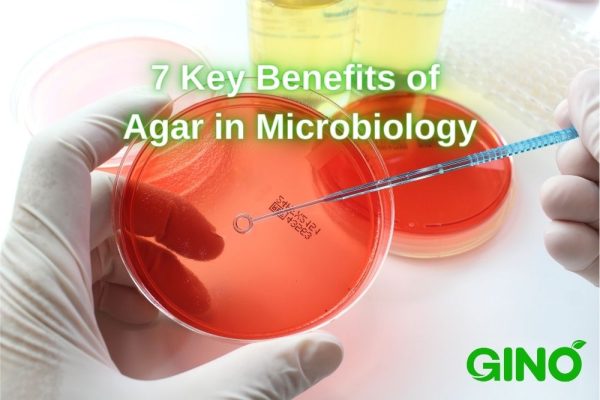 7 Key Benefits of Agar in Microbiology