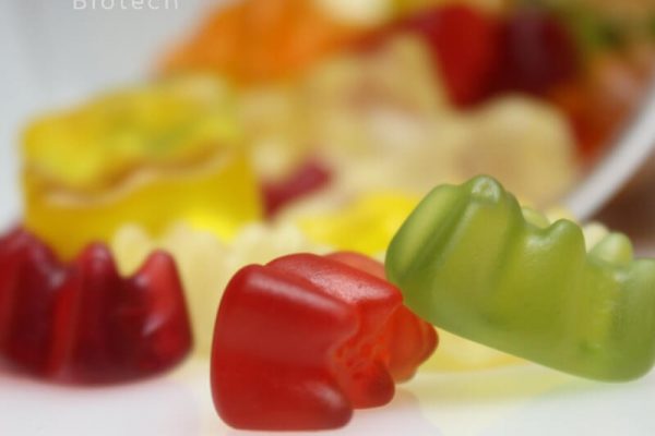 agar agar candy_Jelly Candy_Gino Biotech_Hydrocolloid Suppliers