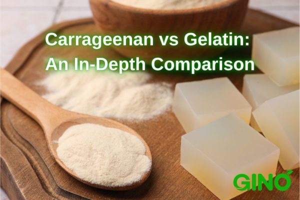 Carrageenan vs Gelatin_ An In-Depth Comparison