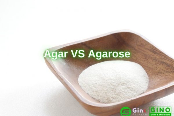 E406 Agar vs Agarose Difference between Agar and Agarose (2)