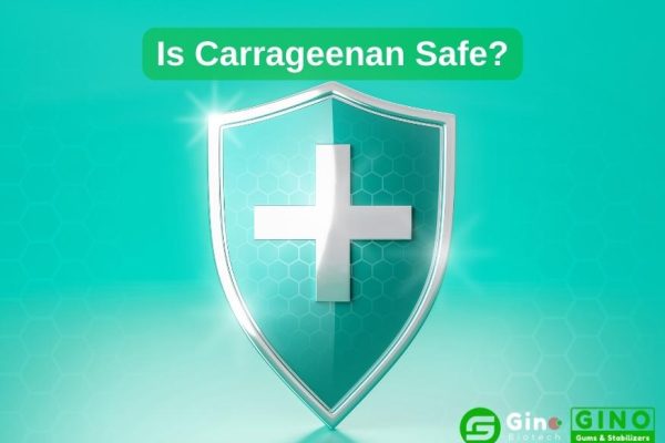 Is Carrageenan Safe