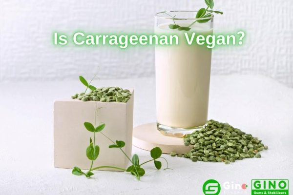Is Carrageenan Vegan
