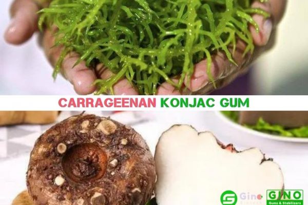 Konjac gum and Carrageenan in Jelly Applications-04