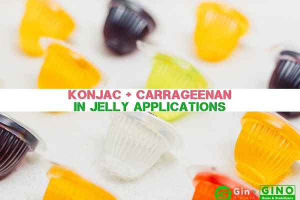 Konjac gum and Carrageenan in Jelly Applications-06