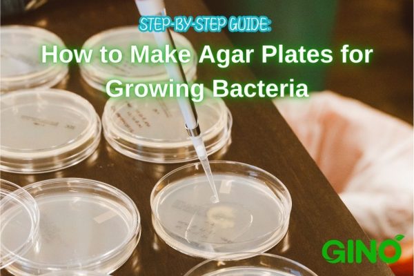 Step-by-Step Guide_ How to Make Agar Plates for Growing Bacteria (2)