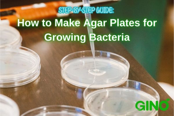 Step-by-Step Guide_ How to Make Agar Plates for Growing Bacteria