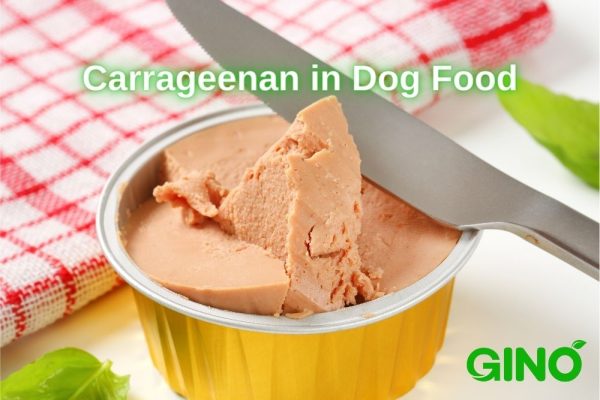 The Role of Carrageenan in Dog Food (2)