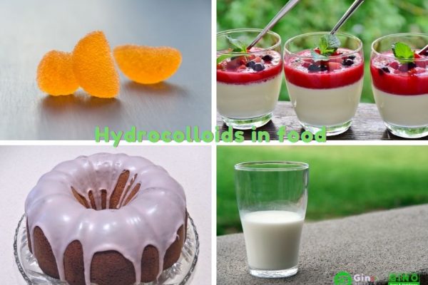 The role of hydrocolloids in food (2)
