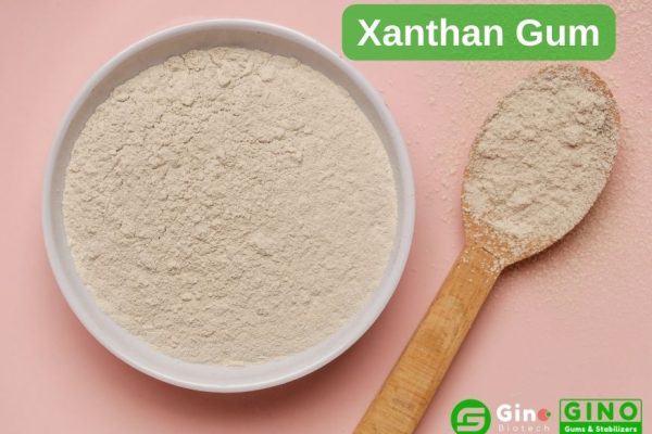 Xanthan Gum_Sources and Roles of 6 Common Food Hydrocolloids